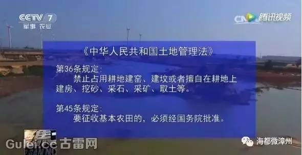 漳浦新聞最新動(dòng)態(tài)報道速遞