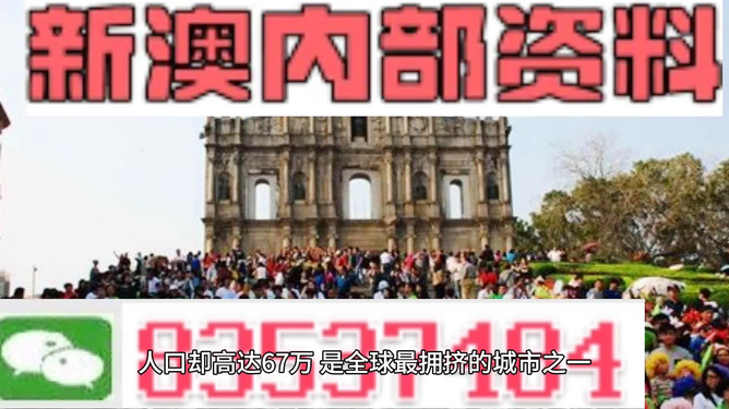 新澳精準資料免費提供網(wǎng)站,實(shí)際案例解釋定義_豪華版36.77.63