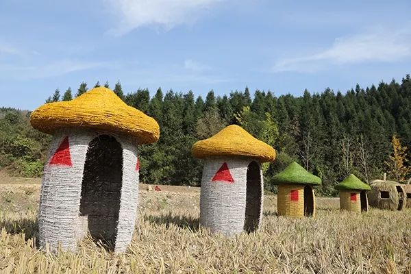歐陽(yáng)進(jìn)探尋自然美景之旅，重拾心靈寧靜的旅行篇章