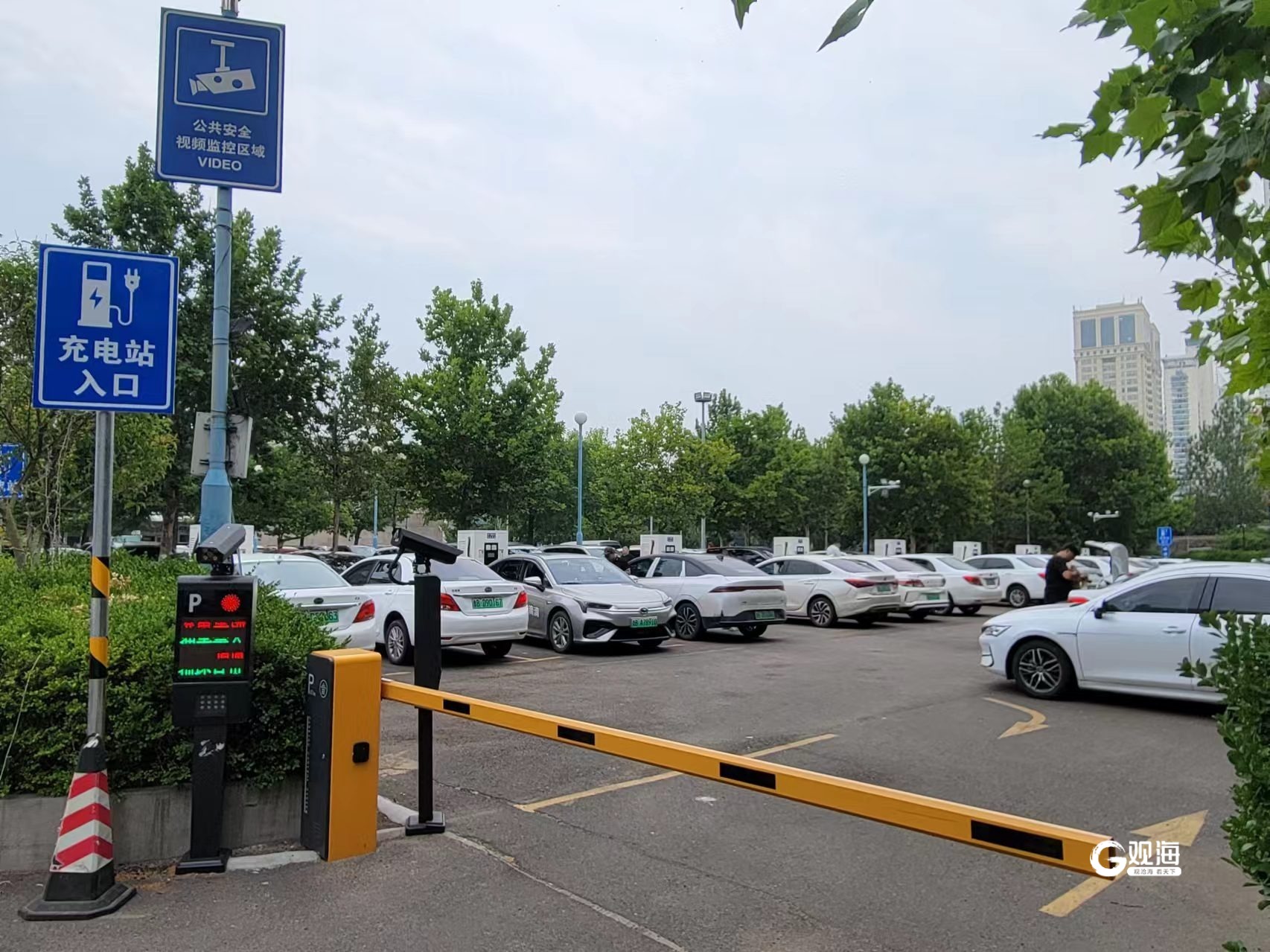 青島汽車(chē)報廢補貼新政策解讀，自信啟程未來(lái)勵志之旅，最新政策變化帶來(lái)的成就感與啟示