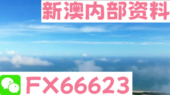 2024新澳資料免費大全,數據資料解釋落實(shí)_內含版623.15