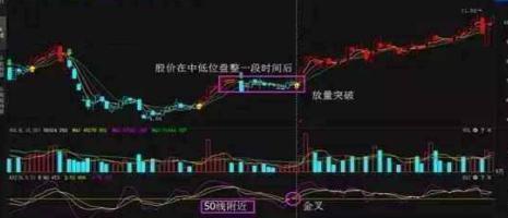 新奧門(mén)特免費資料大全火鳳凰,實(shí)際指標_CHU473.35金丹