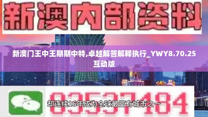 新澳門(mén)王中王期期中特,卓越解答解釋執行_YWY8.70.25互動(dòng)版
