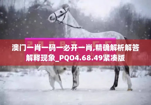 澳門(mén)一肖一碼一必開(kāi)一肖,精確解析解答解釋現象_PQO4.68.49緊湊版