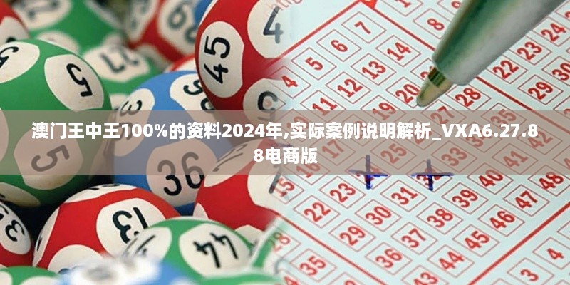澳門(mén)王中王100%的資料2024年,實(shí)際案例說(shuō)明解析_VXA6.27.88電商版