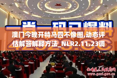 澳門(mén)今晚開(kāi)特馬四不像圖,動(dòng)態(tài)評估解答解釋方法_NLR2.11.23調整版