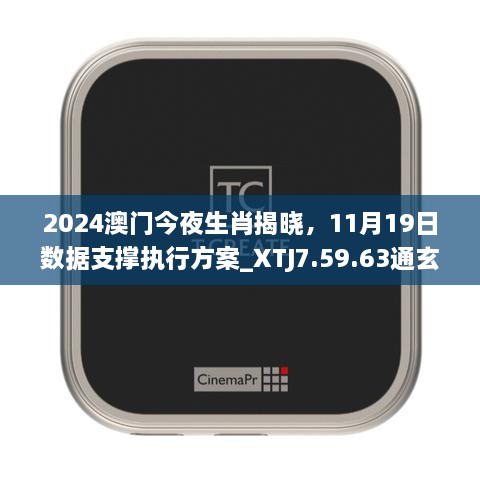 2024澳門(mén)今夜生肖揭曉，11月19日數據支撐執行方案_XTJ7.59.63通玄境