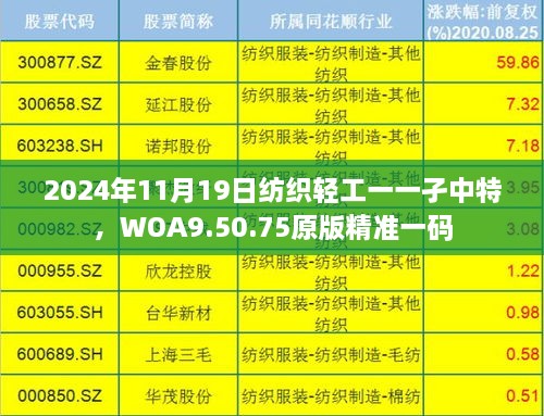 2024年11月19日紡織輕工一一孑中特，WOA9.50.75原版精準一碼
