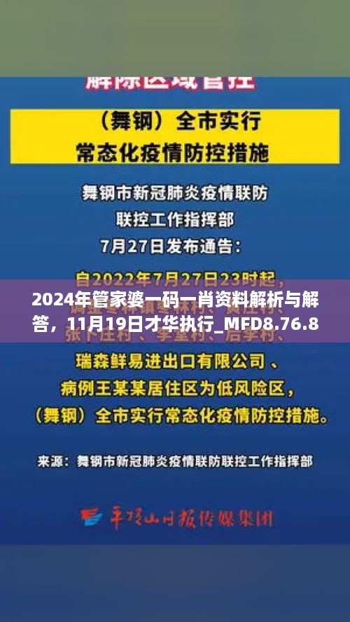 2024年管家婆一碼一肖資料解析與解答，11月19日才華執行_MFD8.76.81加速版