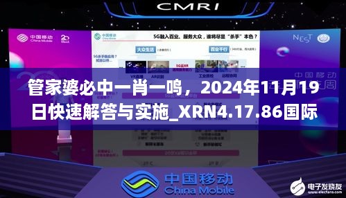 管家婆必中一肖一鳴，2024年11月19日快速解答與實(shí)施_XRN4.17.86國際版