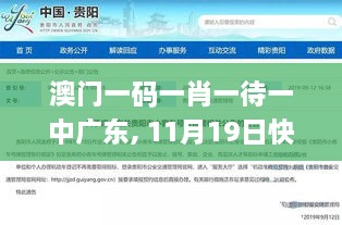 澳門(mén)一碼一肖一待一中廣東, 11月19日快速響應執行_SVV3.11.24速達版