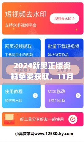 2024新奧正版資料免費獲取，11月19日全面評估解答及步驟解析_WUF1.60.91計算能力版