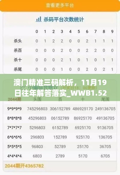 澳門(mén)精準三碼解析，11月19日往年解答落實(shí)_WWB1.52.99雅致版