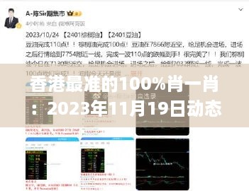 香港最準的100%肖一肖：2023年11月19日動(dòng)態(tài)解析指南_PHZ1.77.23解密版