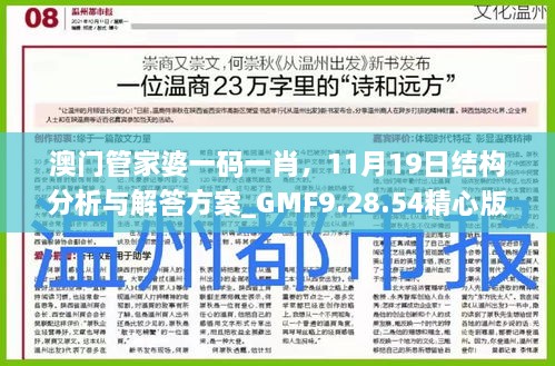 澳門(mén)管家婆一碼一肖，11月19日結構分析與解答方案_GMF9.28.54精心版