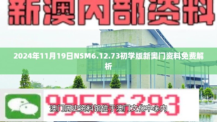 2024年11月19日NSM6.12.73初學(xué)版新奧門(mén)資料免費解析