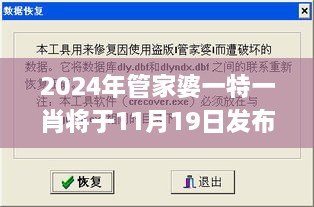 2024年管家婆一特一肖將于11月19日發(fā)布，便捷解答與解釋_LKT7.17.68專(zhuān)家版