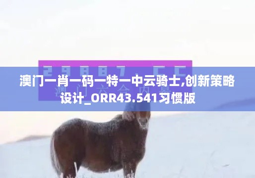 澳門(mén)一肖一碼一特一中云騎士,創(chuàng  )新策略設計_ORR43.541習慣版