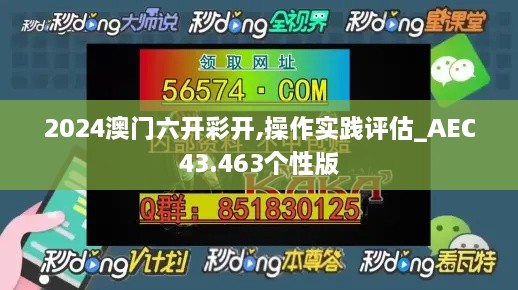 2024澳門(mén)六開(kāi)彩開(kāi),操作實(shí)踐評估_AEC43.463個(gè)性版