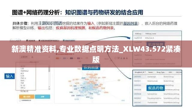 新澳精準資料,專(zhuān)業(yè)數據點(diǎn)明方法_XLW43.572緊湊版