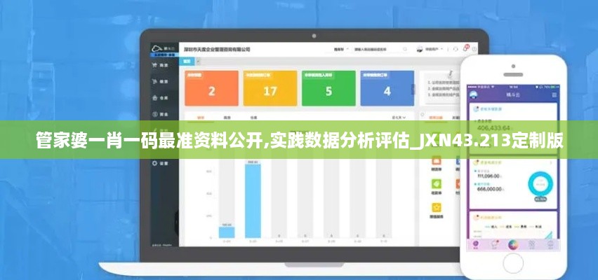 管家婆一肖一碼最準資料公開(kāi),實(shí)踐數據分析評估_JXN43.213定制版