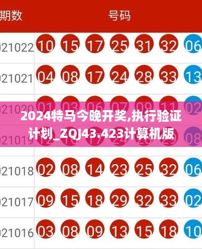2024特馬今晚開(kāi)獎,執行驗證計劃_ZQJ43.423計算機版