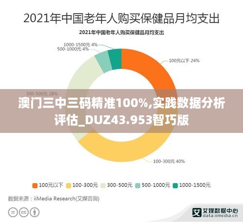 澳門(mén)三中三碼精準100%,實(shí)踐數據分析評估_DUZ43.953智巧版