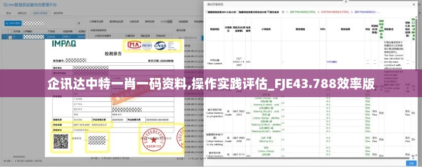 企訊達中特一肖一碼資料,操作實(shí)踐評估_FJE43.788效率版