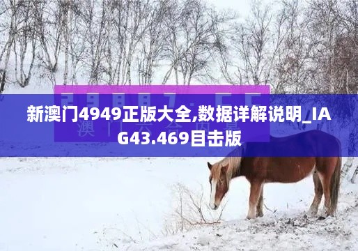 新澳門(mén)4949正版大全,數據詳解說(shuō)明_IAG43.469目擊版