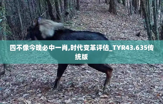 四不像今晚必中一肖,時(shí)代變革評估_TYR43.635傳統版