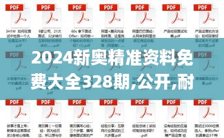 2024新奧精準資料免費大全328期,公開(kāi),耐心落實(shí)解釋解答_JNO9.11