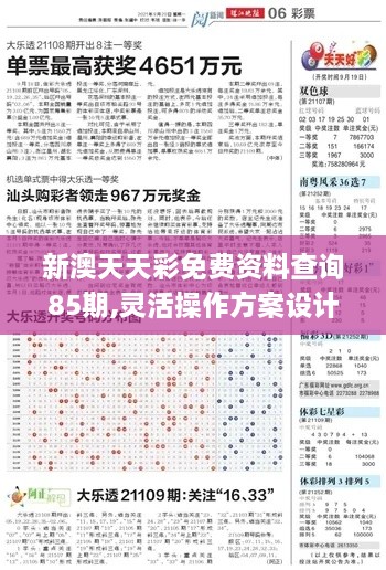 新澳天天彩免費資料查詢(xún)85期,靈活操作方案設計_時(shí)尚版YNL5.46