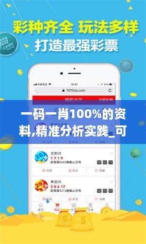 一碼一肖100%的資料,精準分析實(shí)踐_可靠性版DUD3.40
