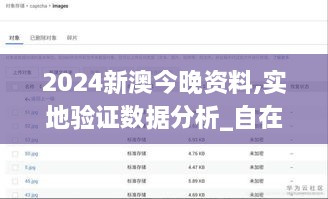 2024新澳今晚資料,實(shí)地驗證數據分析_自在版VIT1.70