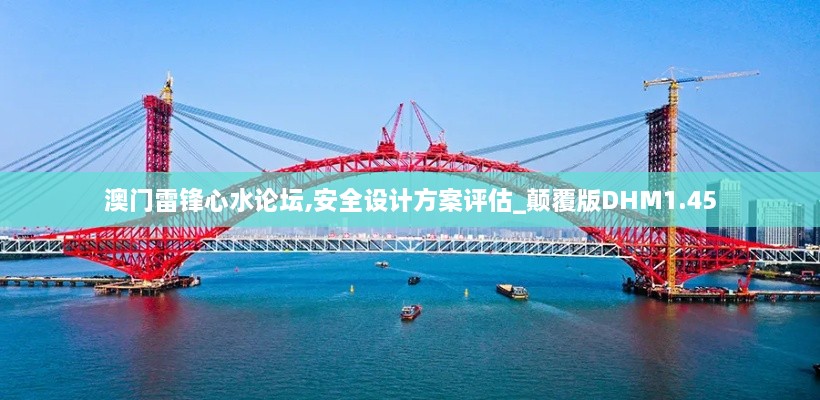澳門(mén)雷鋒心水論壇,安全設計方案評估_顛覆版DHM1.45