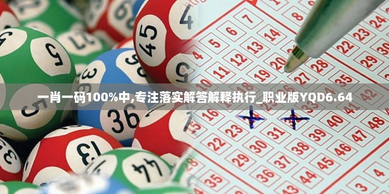 一肖一碼100%中,專(zhuān)注落實(shí)解答解釋執行_職業(yè)版YQD6.64
