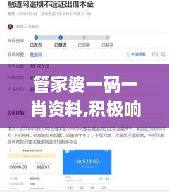 管家婆一碼一肖資料,積極響應解答執行_效率版PXQ6.21