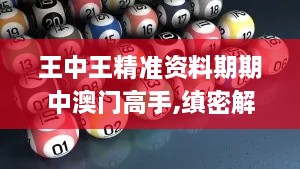 王中王精準資料期期中澳門(mén)高手,縝密解答解釋落實(shí)_定義版GTB8.26