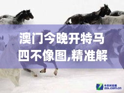 澳門(mén)今晚開(kāi)特馬四不像圖,精準解答解釋方案_自由版WBP8.74