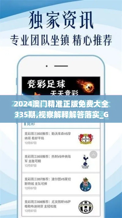 2024澳門(mén)精準正版免費大全335期,視察解釋解答落實(shí)_GPK3.72