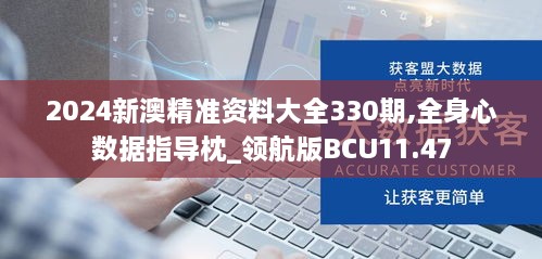 2024新澳精準資料大全330期,全身心數據指導枕_領(lǐng)航版BCU11.47