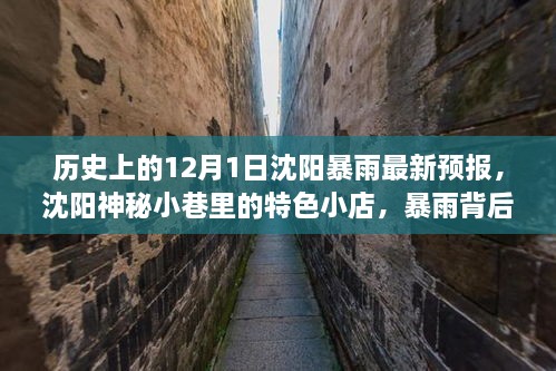 沈陽(yáng)暴雨背后的神秘小巷寶藏，歷史、最新預報與特色小店探索