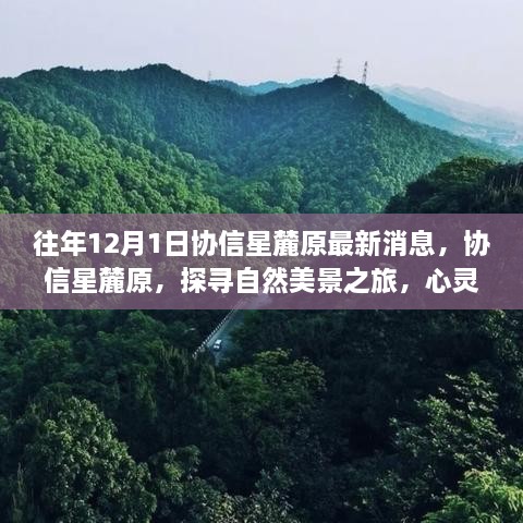 協(xié)信星麓原最新消息，探尋自然美景之旅的心靈港灣