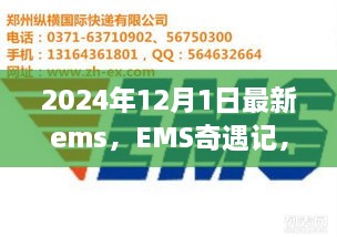 EMS奇遇記，快遞背后的溫暖故事揭秘，2024年12月最新篇章