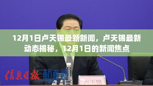 盧天錫最新動(dòng)態(tài)揭秘，12月1日新聞焦點(diǎn)速遞