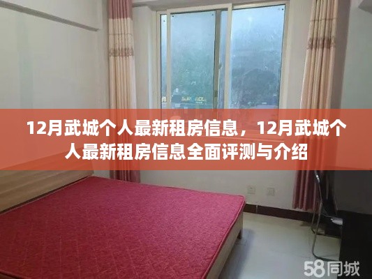12月武城個(gè)人最新租房信息詳解與全面評測