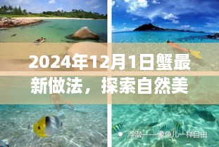 探索蟹的新做法與自然美景之旅，寧靜美食體驗，遠離塵囂的心靈之旅