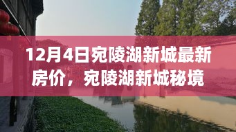宛陵湖新城房?jì)r(jià)揭秘，秘境小巷特色小店與最新房?jì)r(jià)探秘之旅