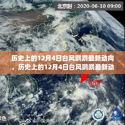 歷史上的12月4日臺風(fēng)鸚鵡最新動(dòng)向，深度分析與觀(guān)點(diǎn)闡述
