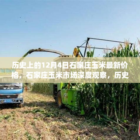 歷史上的12月4日石家莊玉米最新價(jià)格，石家莊玉米市場(chǎng)深度觀(guān)察，歷史上的最新價(jià)格動(dòng)態(tài)與競品分析